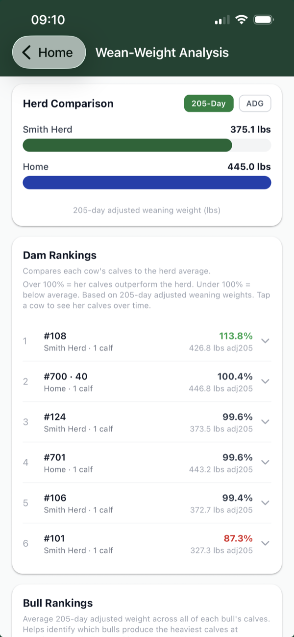 Wean-weight analysis with herd comparison and dam rankings
